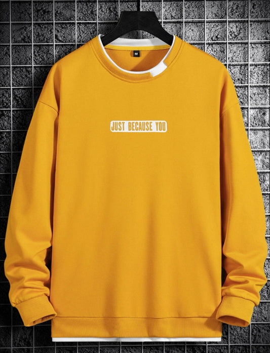 Men Letter Graphic Drop Shoulder Pullover