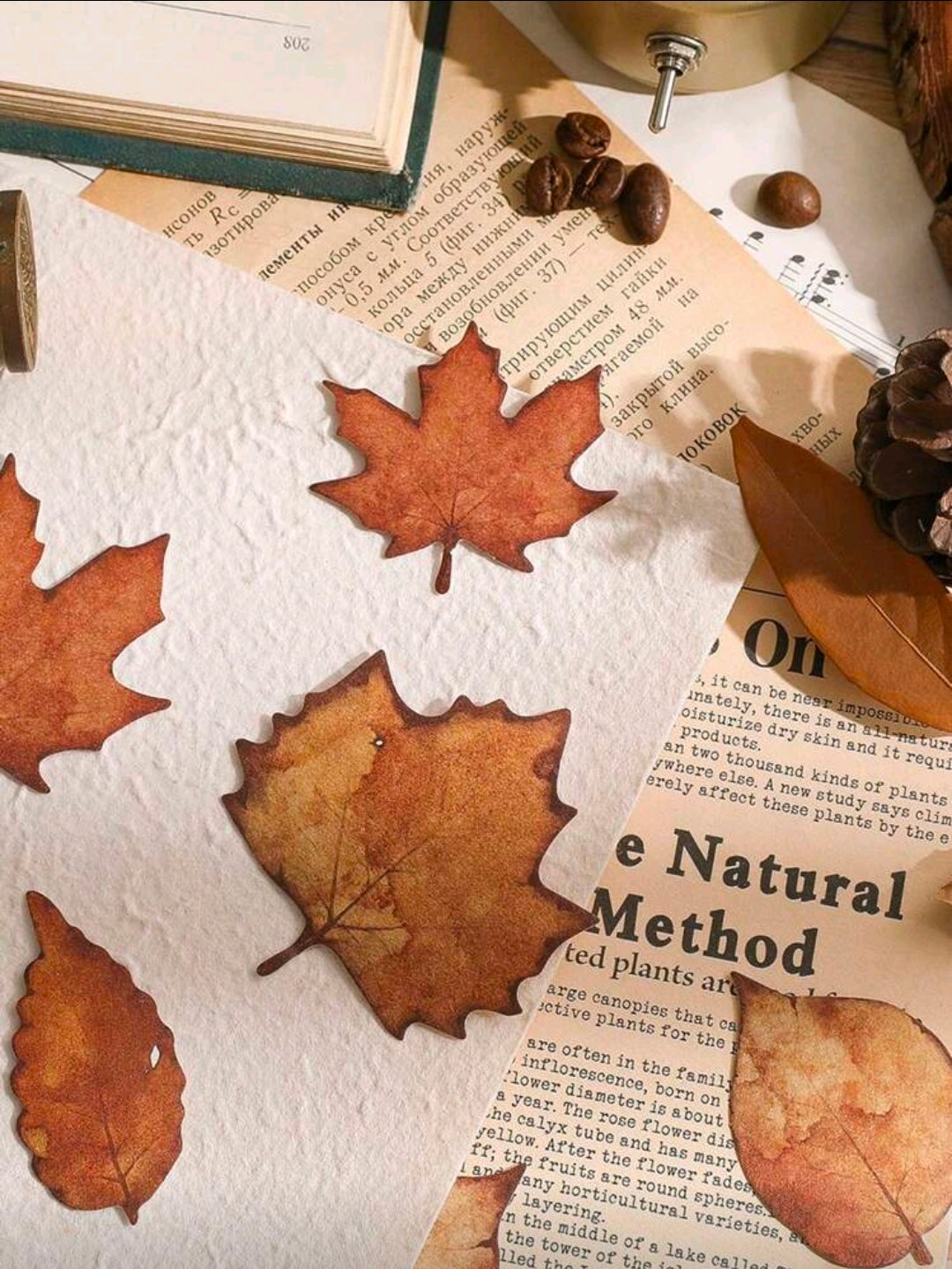 15pcs Leaf Pattern Assorted Sticker