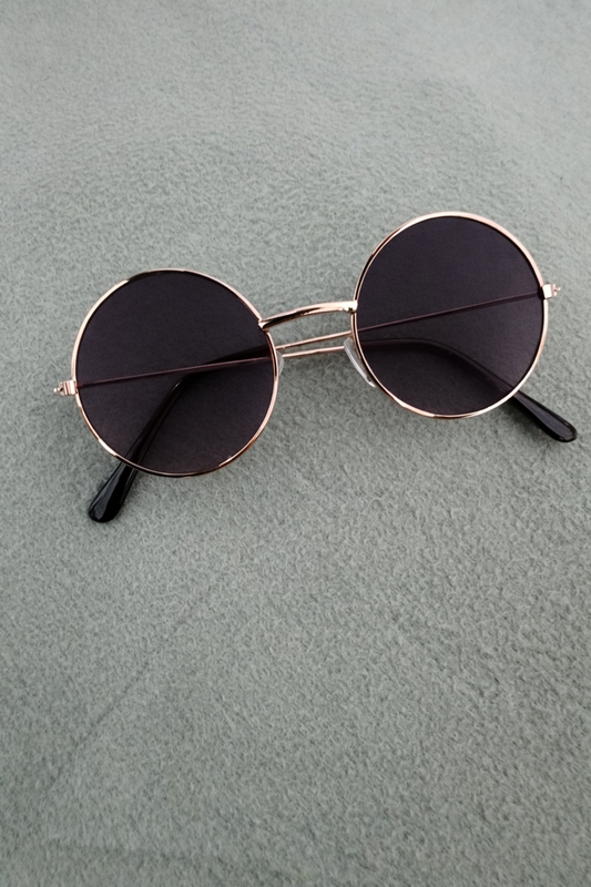 Kids Metal Frame Glasses With Case